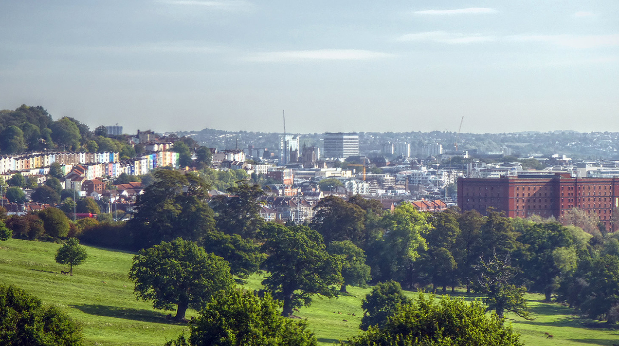 Trees in Bristol - credit: Flickr/Andrew Gustar
